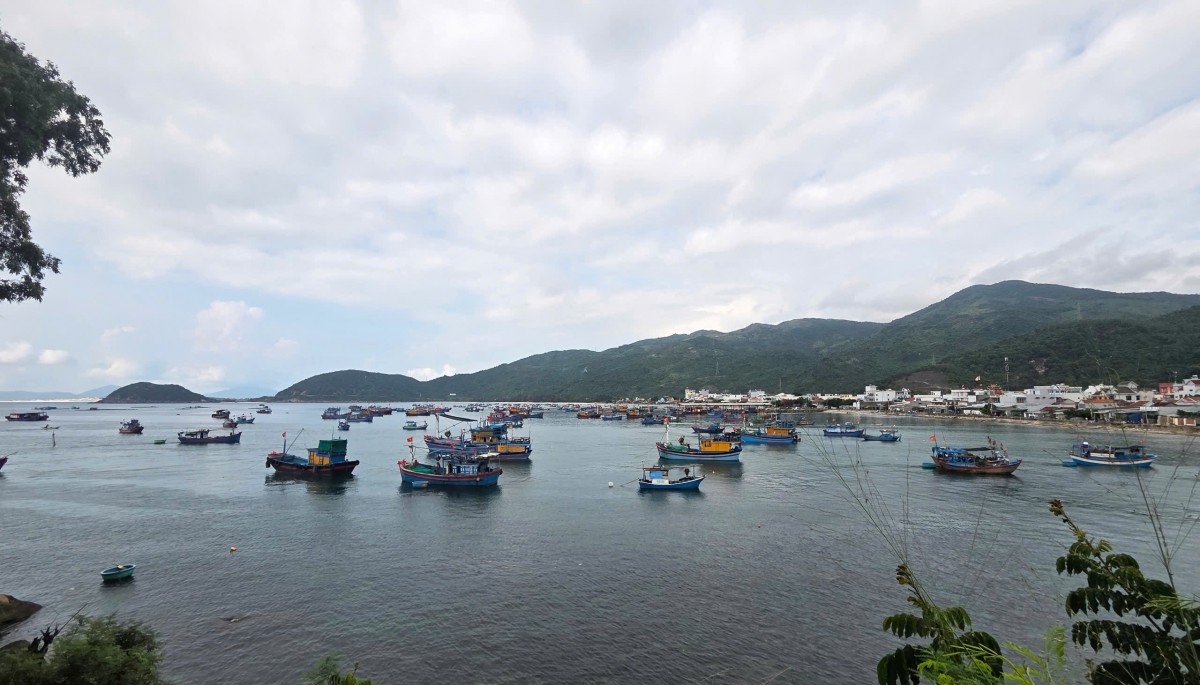 Phê duyệt điều chỉnh cục bộ Quy hoạch chi tiết nhóm cảng biển, bến cảng, cầu cảng, bến phao, khu nước, vùng nước và Quy hoạch chi tiết phát triển vùng đất, vùng nước cảng biển Phú Yên (trước 