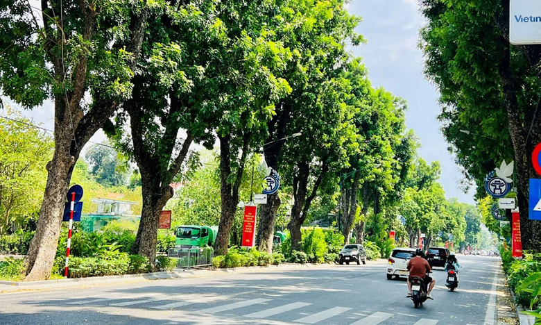 Đang tải...